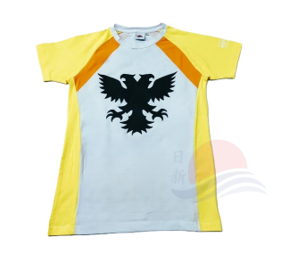 Raffles Institution Year 5-6 YELLOW House T-shirt (Bayley-Waddle)